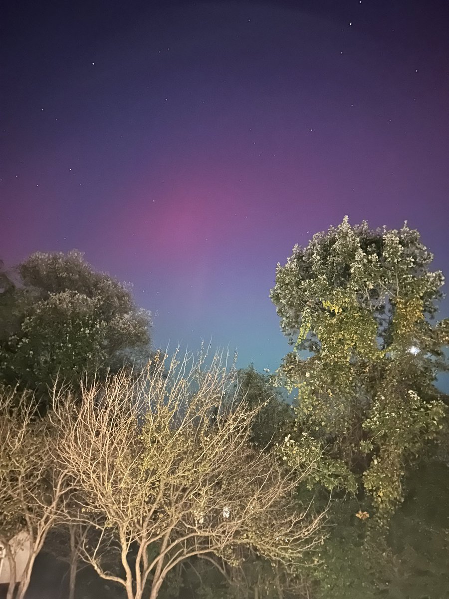 𝕊ℂ𝕆𝕋𝕋 ℍ𝔼𝕋𝕊𝕂𝕆 tweet media