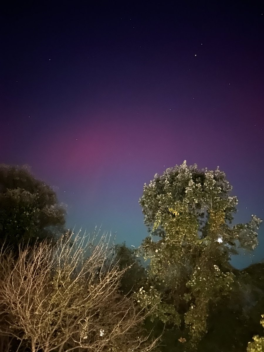 𝕊ℂ𝕆𝕋𝕋 ℍ𝔼𝕋𝕊𝕂𝕆 tweet media