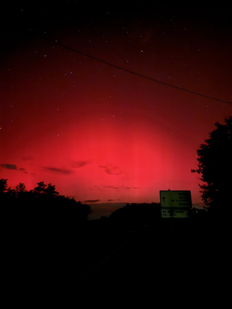 Ferran Vila tweet media