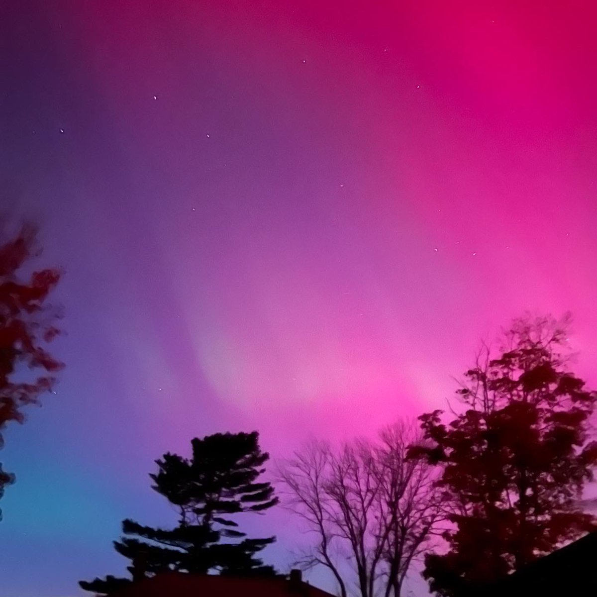 nycpw's tweet image. good night, Maine.
#MaineLife