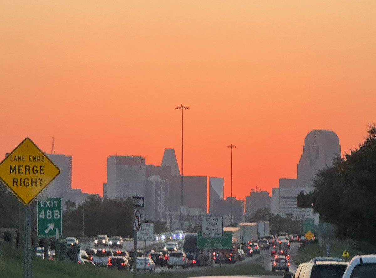 Dallas nights