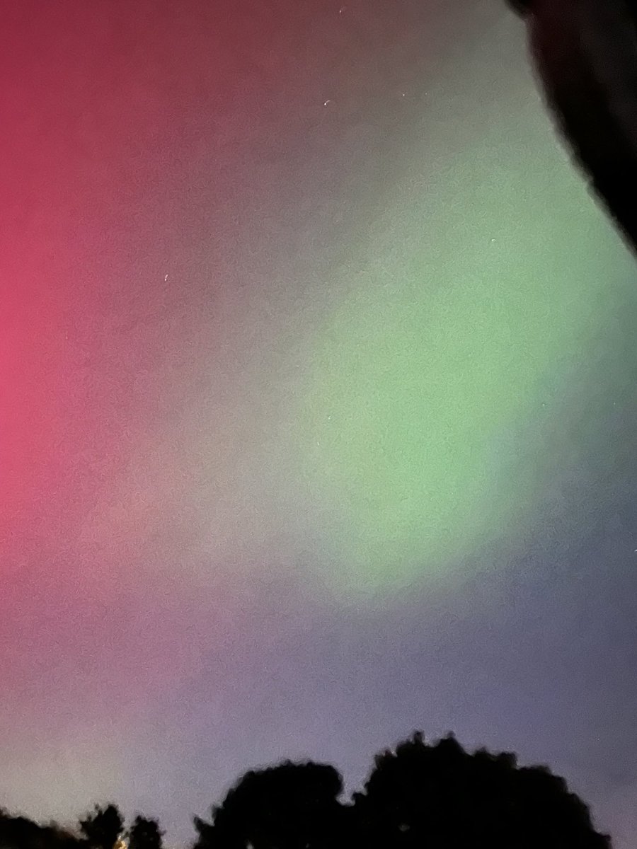 Mrs. Amy Macchia tweet media