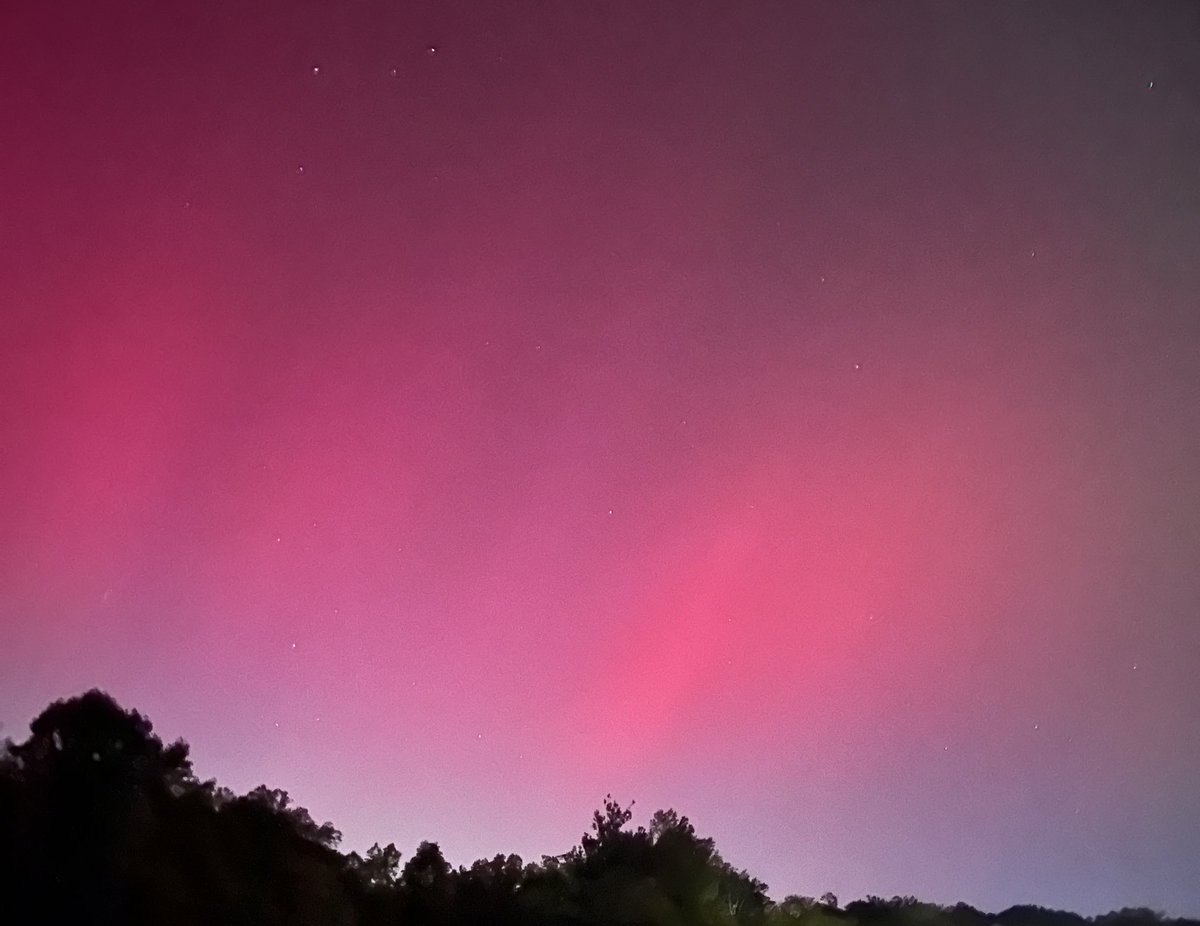 Mrs. Amy Macchia tweet media