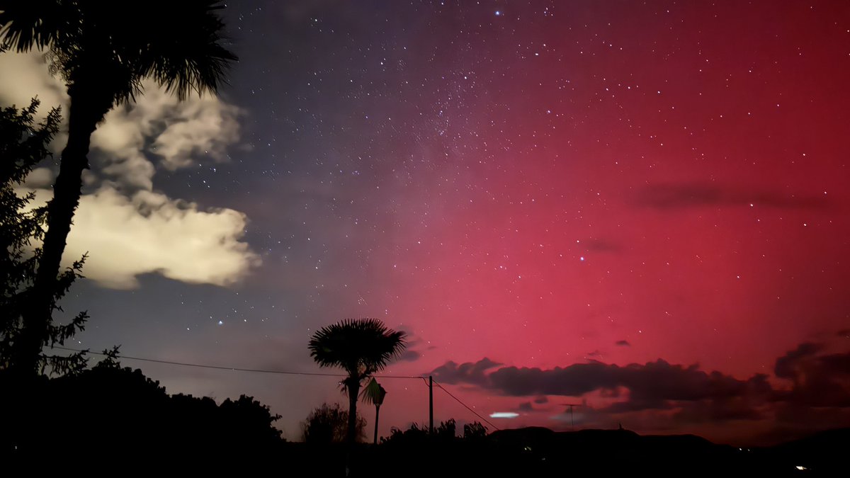 Àlex ||*|| 🎗 tweet media