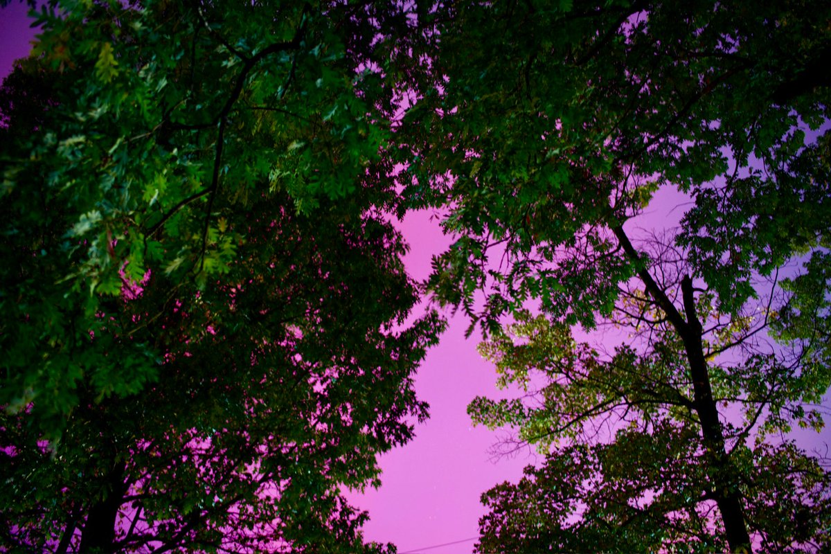 eshansen_2's tweet image. Aurora from Colonial Village, DC

@capitalweather