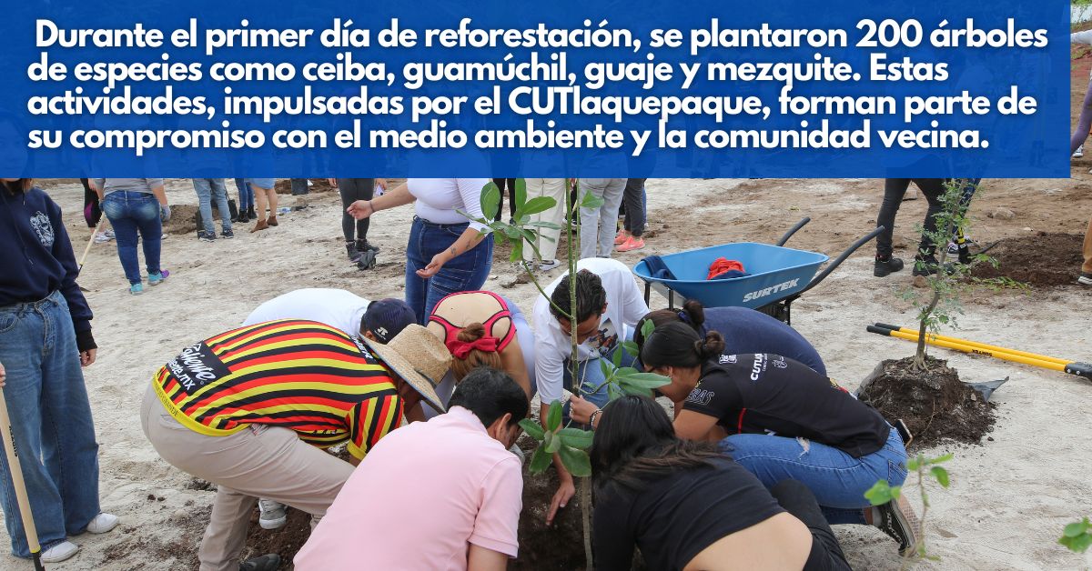 ¡500 árboles de especies endémicas serán plantados en el <a href="/CUTlaque_Udeg/">CUTlaquepaque</a>! 🌳👏

Conoce los beneficios ambientales que esta reforestación aportará a la zona: 🔗url.udg.mx/a0BAT