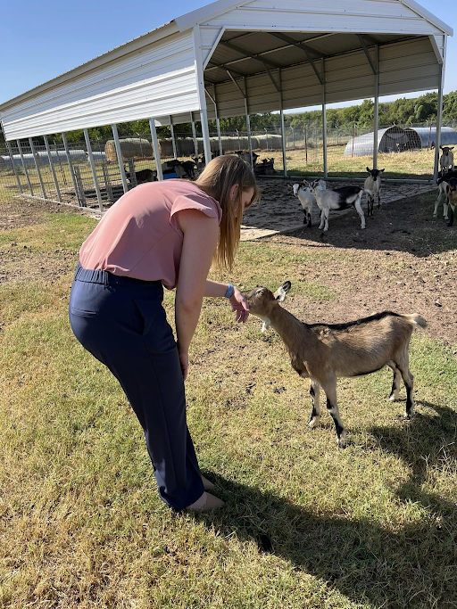 Tulsa Higher Education Consortium tweet media