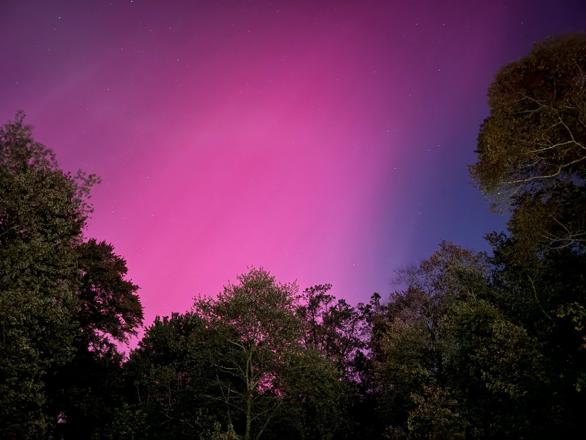 darcypsmith's tweet photo. #northernlights #northernlightsinCT #nofilter #thebackyard https://t.co/teqIopcZnv