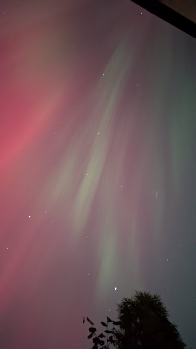 Gaynor Cox tweet media