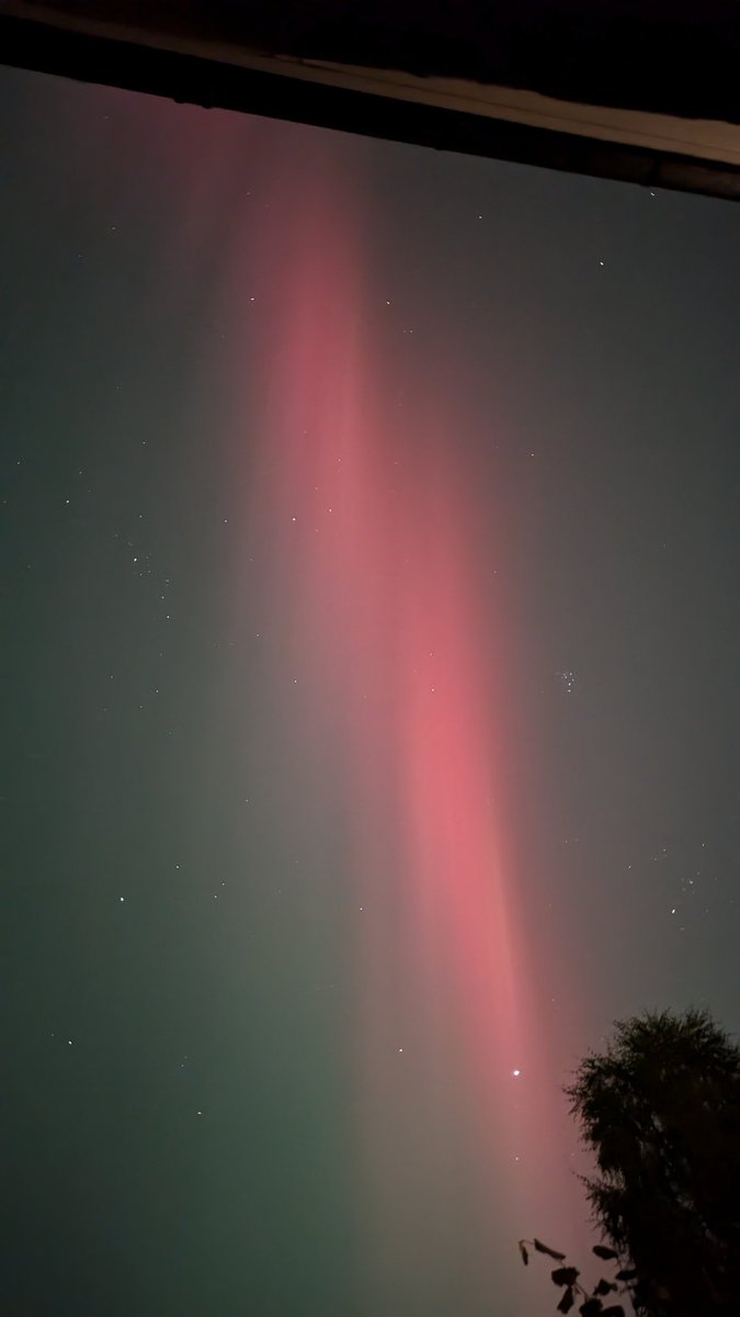 Gaynor Cox tweet media