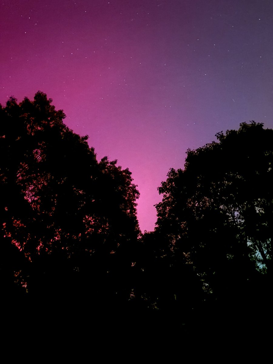 Terry Gray tweet media