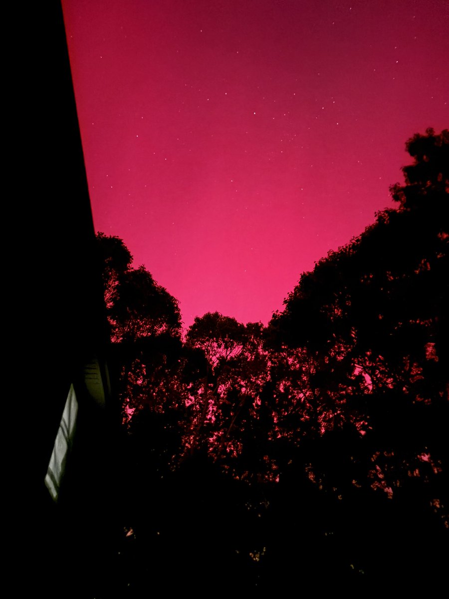 Terry Gray tweet media