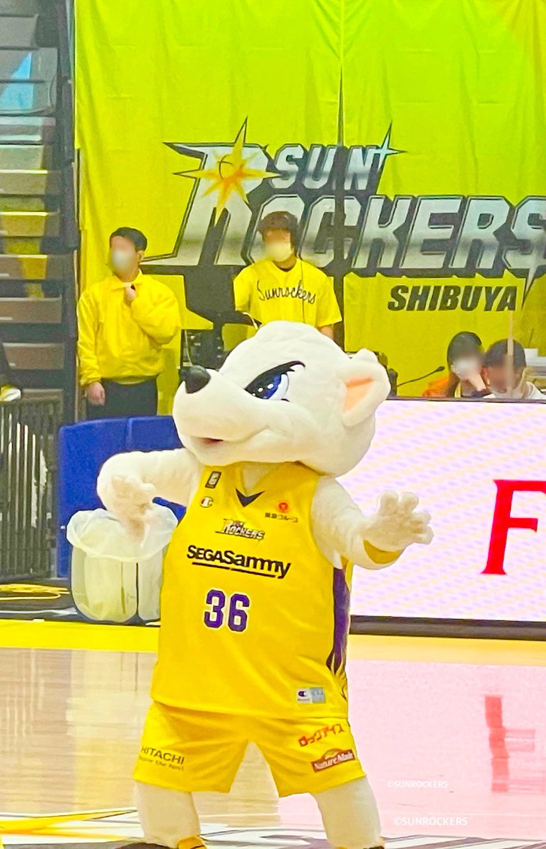 sapti_1912's tweet photo. #サンディー お誕生日おめでとう🎉㊗️
素敵な一年になりますように🐻❄️💛
#サンロッカーズ #サンロッカーズ渋谷 #SAPTI #サプティー https://t.co/4ynY4Fsa7w