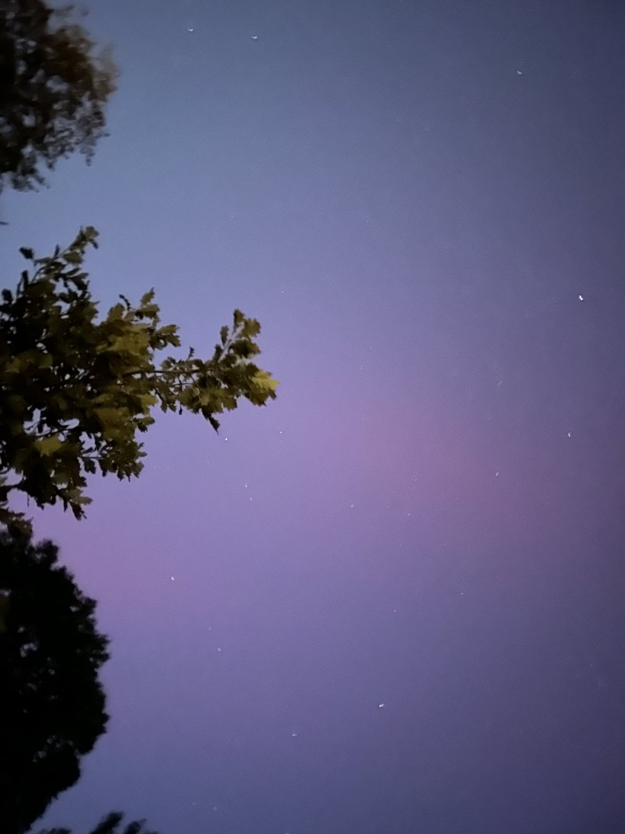 Dr. Jessica Replogle tweet media