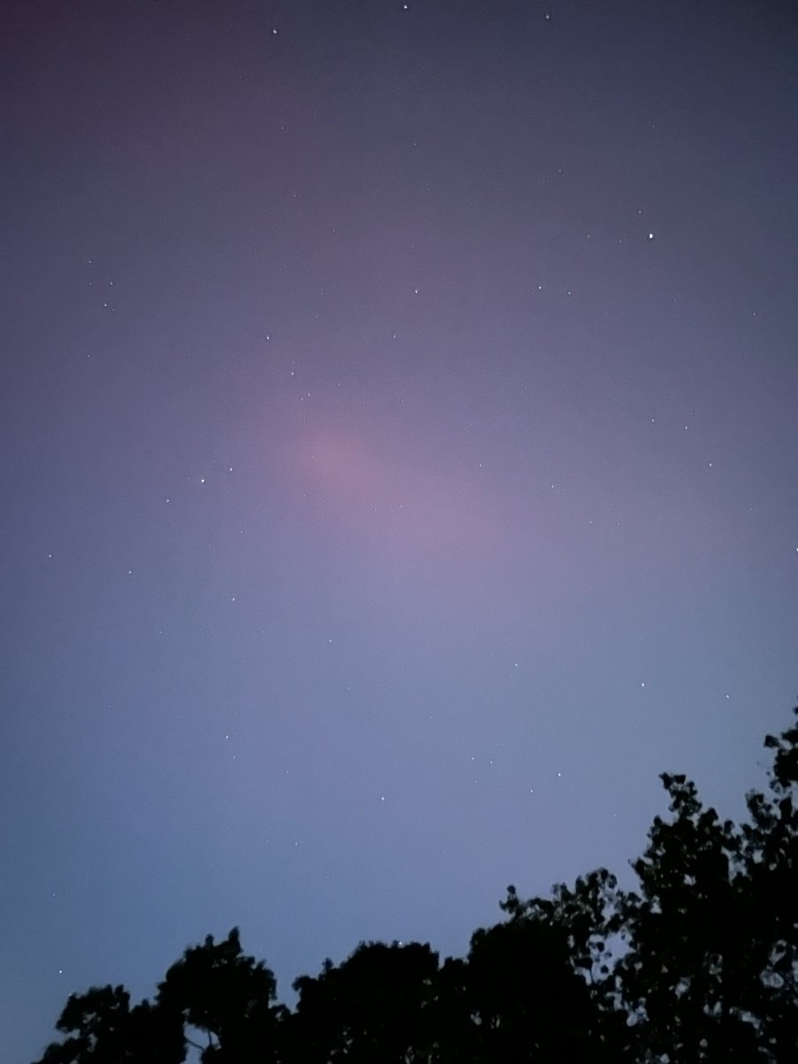 Dr. Jessica Replogle tweet media