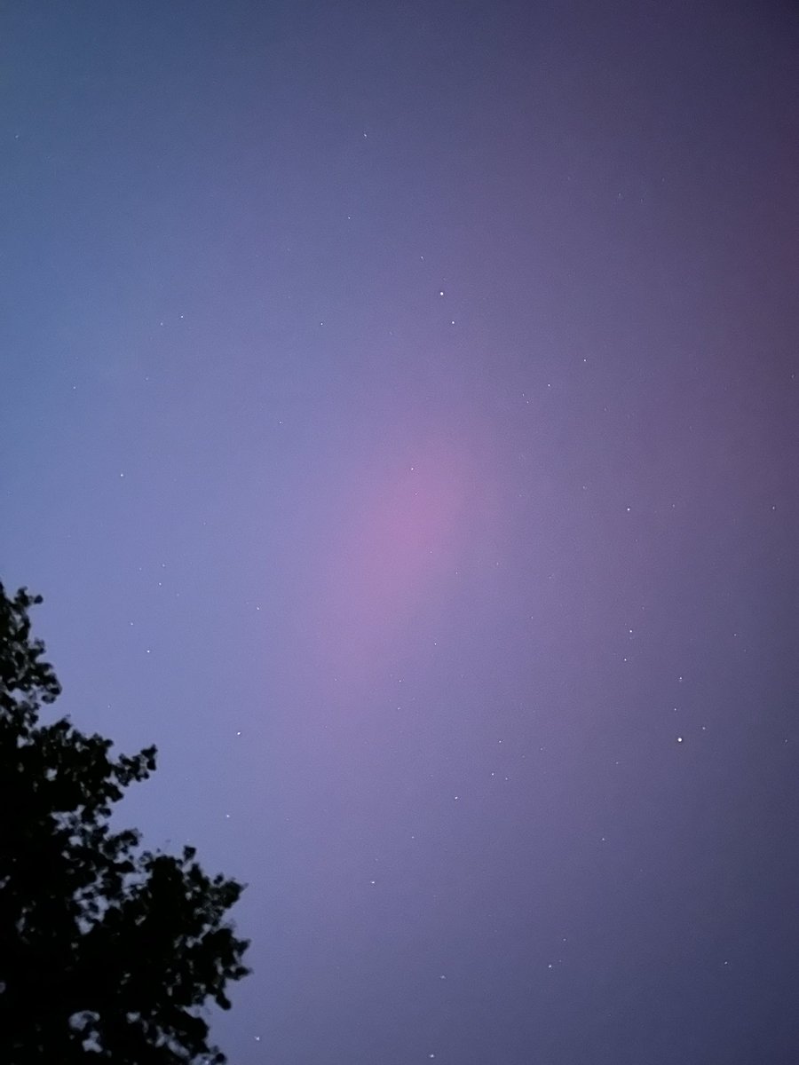 Dr. Jessica Replogle tweet media