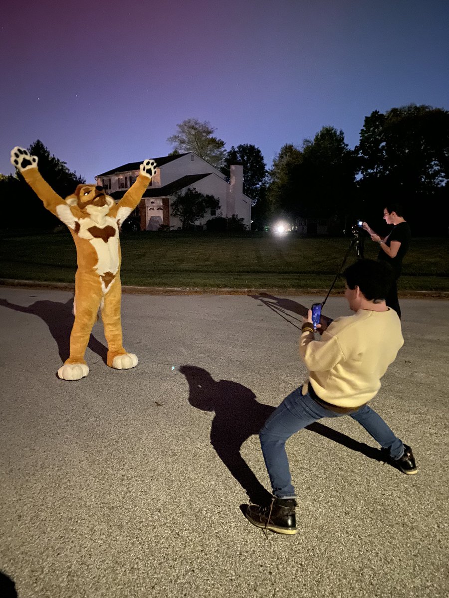 Onyx 🦊 tweet media