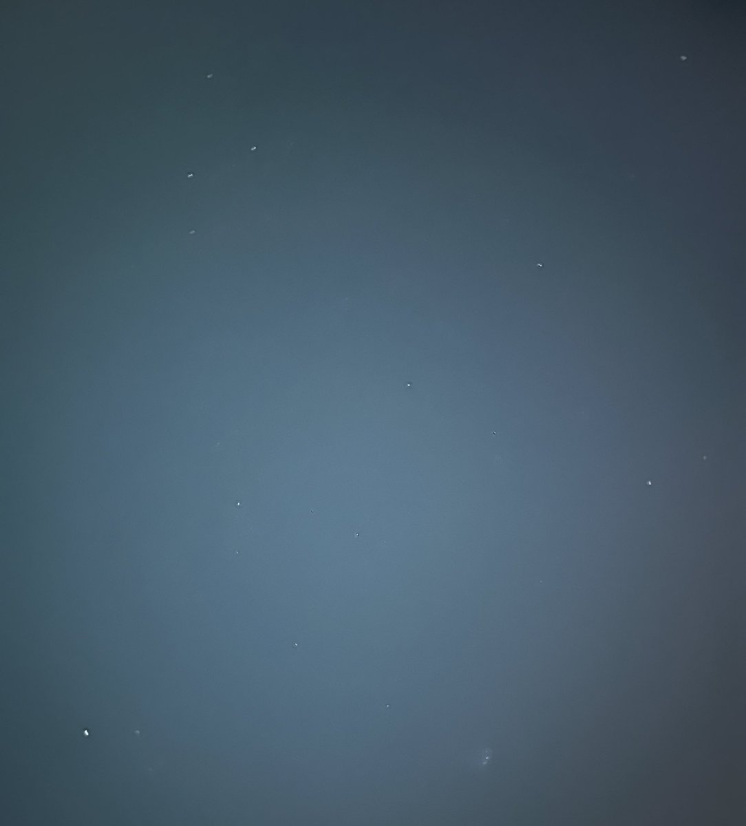 SimpDuck tweet media