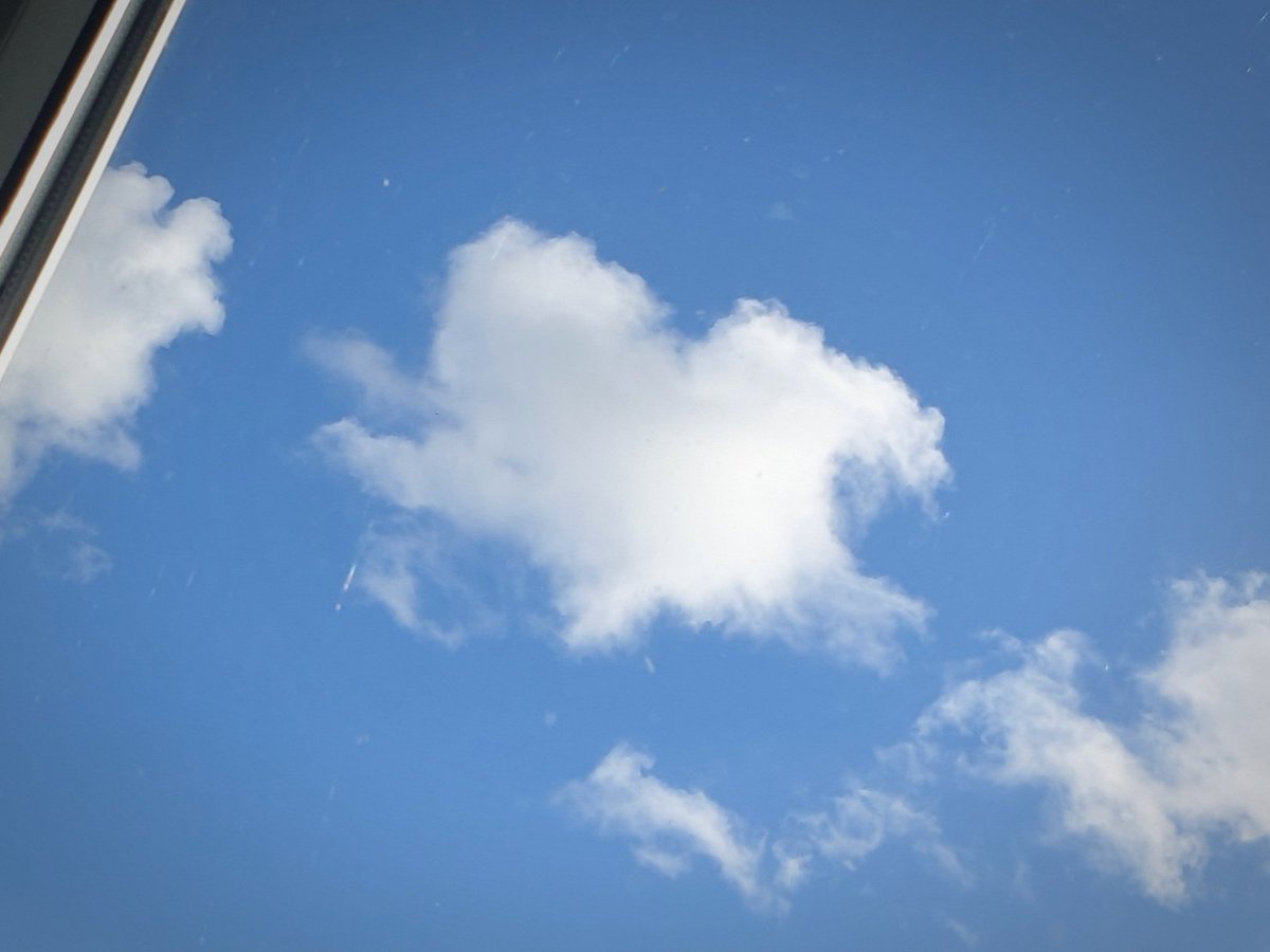 Paul " McBryde ? tweet media