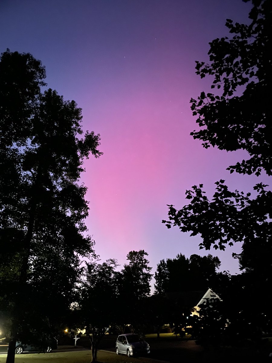 Angela Gibson tweet media