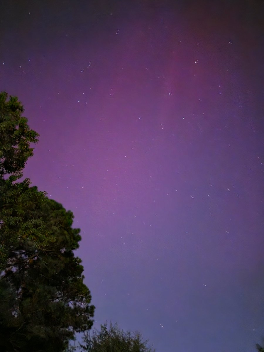just4jax72's tweet photo. @NWSWakefieldVA Aurora in Great Bridge neighborhood of @AboutChesapeake https://t.co/TgPqnZn0lb