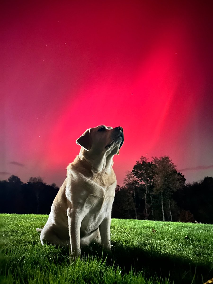 Tevin Wooten (@tevinwooten) on Twitter photo Hunter taking in the view of the #NorthernLights in Rutland, Massachusetts!
📸: Chelsea O.
📧: shareit@nbcboston.com Hunter taking in the view of the #NorthernLights in Rutland, Massachusetts!
📸: Chelsea O.
📧: shareit@nbcboston.com