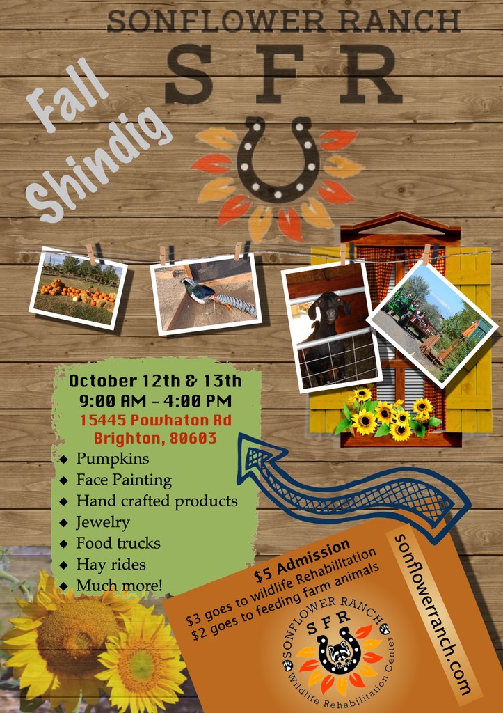 SFRwildlife's tweet image. 🎃 Need a pumpkin?  Just looking for something fun to do this weekend?  Join us at the Ranch to have fun with your friends and family while supporting a great cause!

#BrightonCO #dnvr #denver #naturalcolorado #animals #Saturday #Wildlife #Rehabilitation