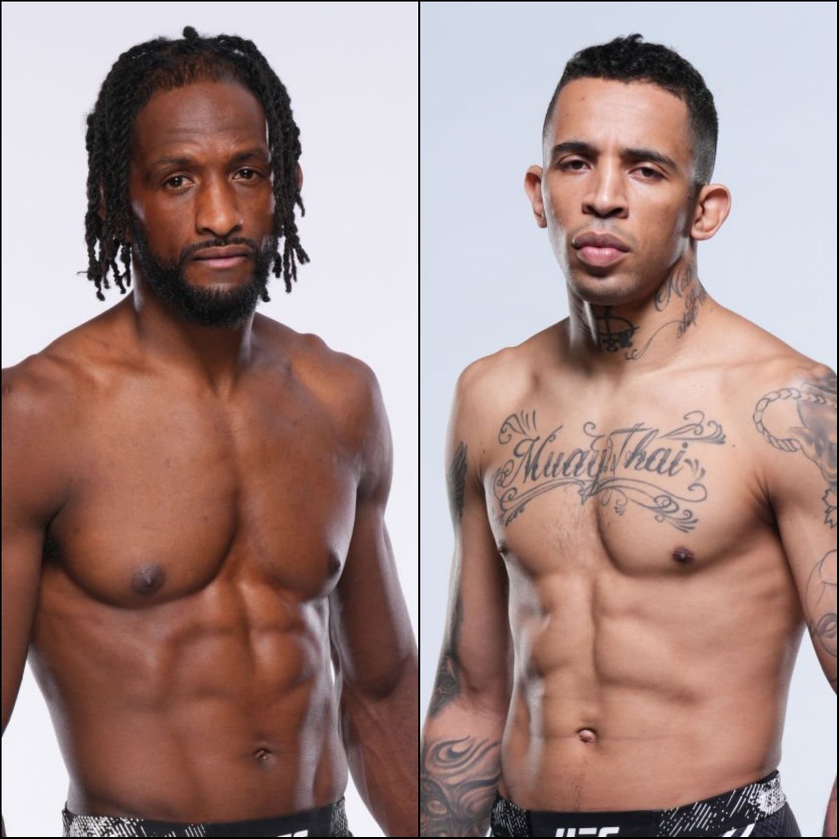 Marcel Dorff 🇳🇱🇮🇩 tweet media