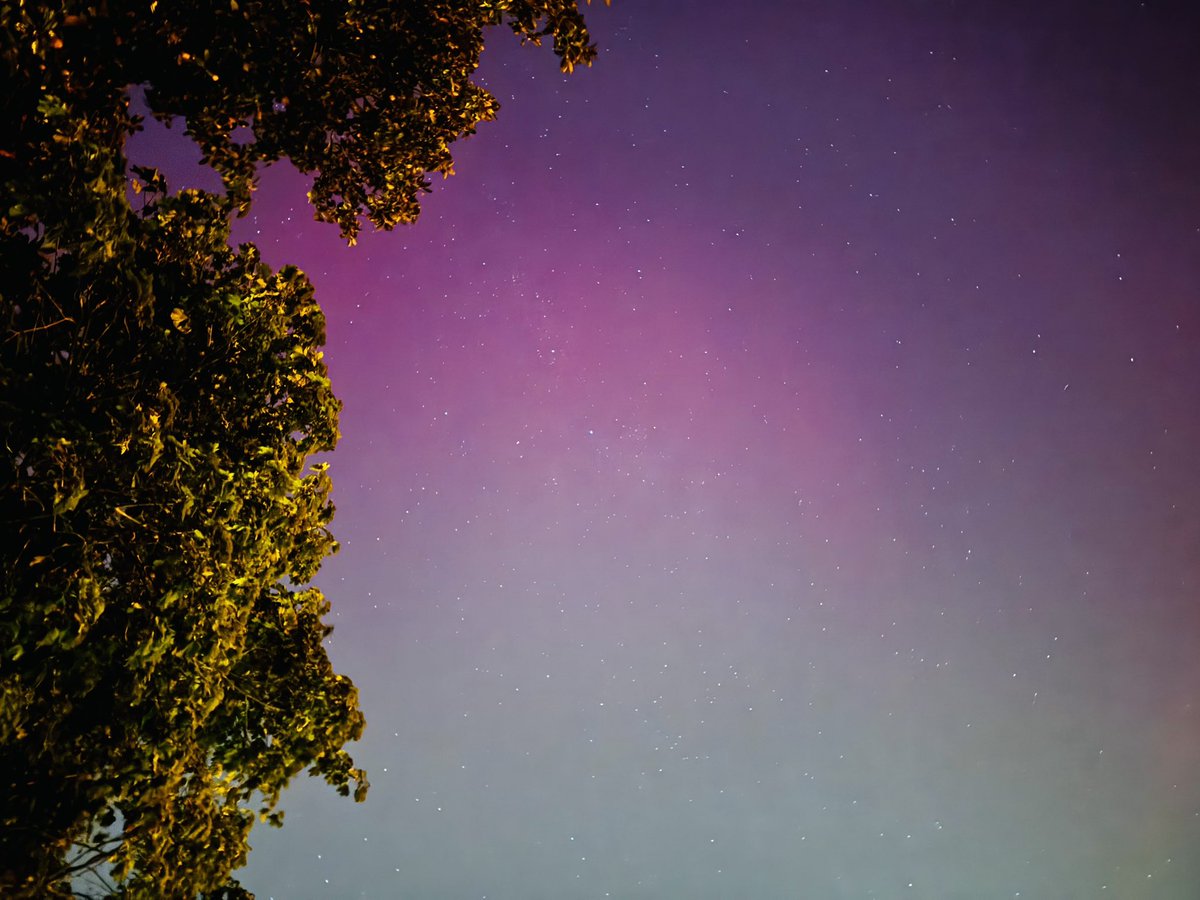 lindalou07's tweet photo. #northernlights in Southern Maryland!  Amazing! https://t.co/CYH0SNFXU5
