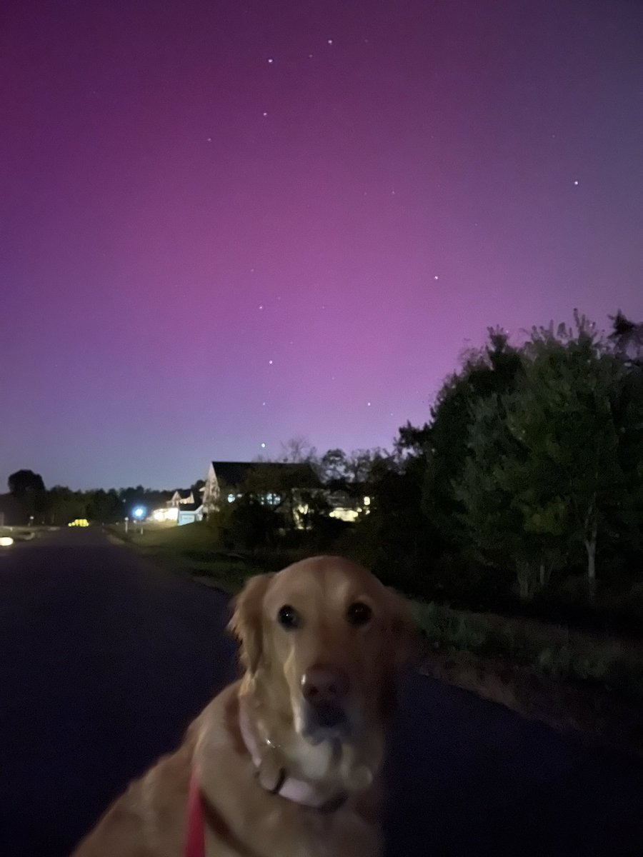BearK1973's tweet photo. Northern Lights in Culpeper, Va @dougkammerer . @ericfisher https://t.co/E4FCyZD0z6