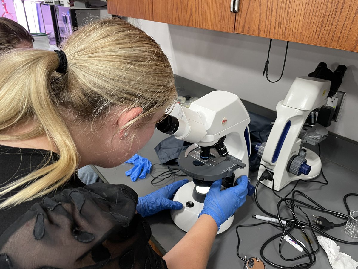 SandersGISA's tweet image. Student projects were happening all day in the HS @GIAcademy…here is a quick peak into a few going on Bioresearch Lab!