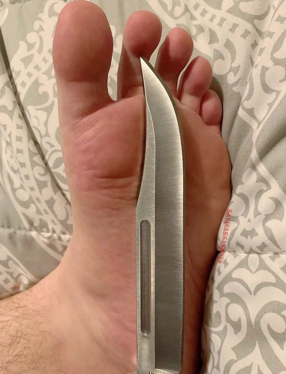 EctoPuppyAD tweet media