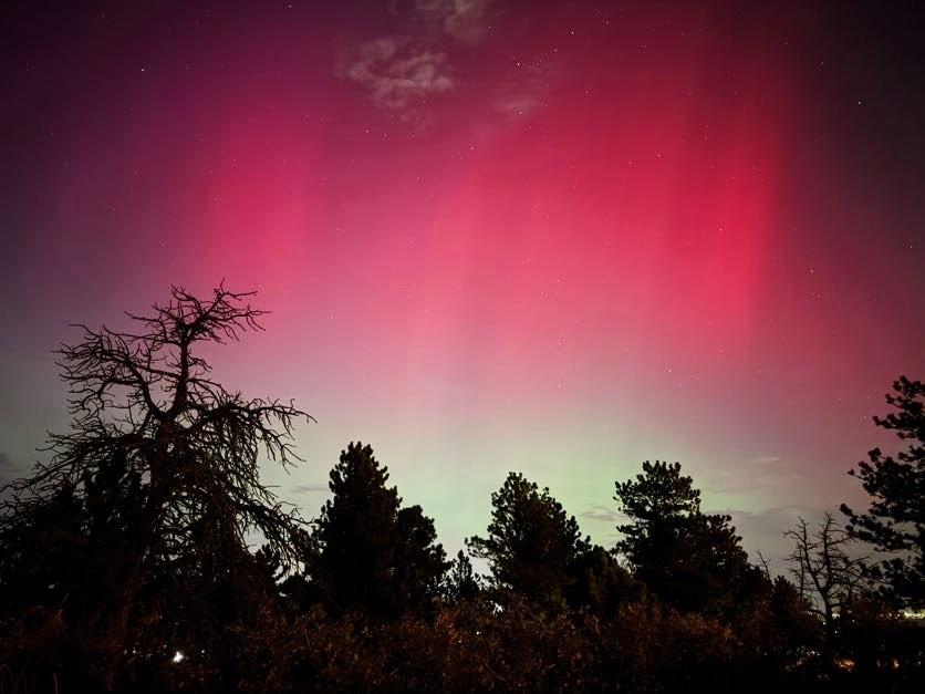 Heather C tweet media