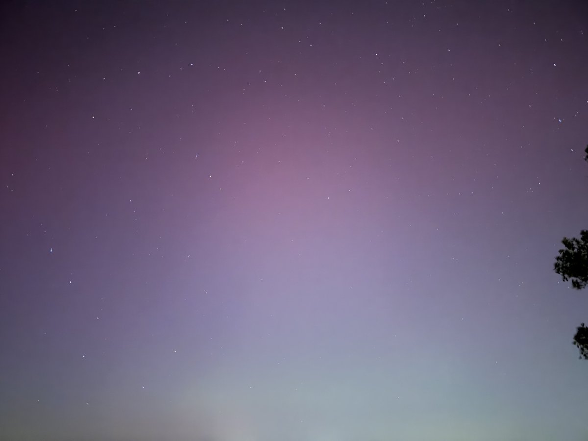 Mitch West tweet media