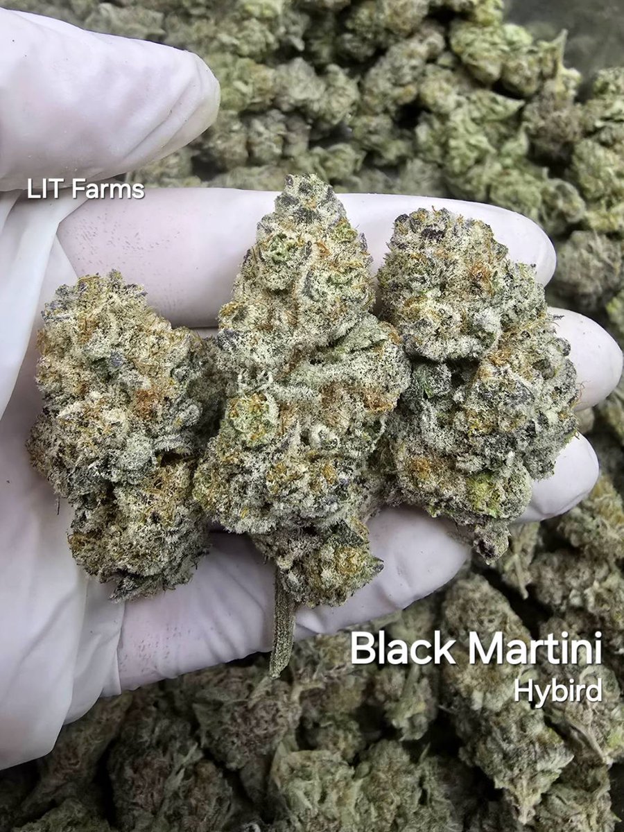 XxGodzilla's tweet photo. ❄️Indoor Topsize สายพันธุ์Rare ขาวๆ ม่วงดำ ก๊าส อมเปรี้ยว แรง

- TopBlack Martini ✅️

100G = 4,050฿

สนใจสั่งสินค้า คลิกลิ้งค์หน้าโปรไฟล์ได้เลยงงับบ 🥦👑

ส่ง���รี 🚛🚚 #กัญชา #กัญชากทม. #กัญชาOG #กัญชาเชียงใหม่ https://t.co/wXc4PCQVEo