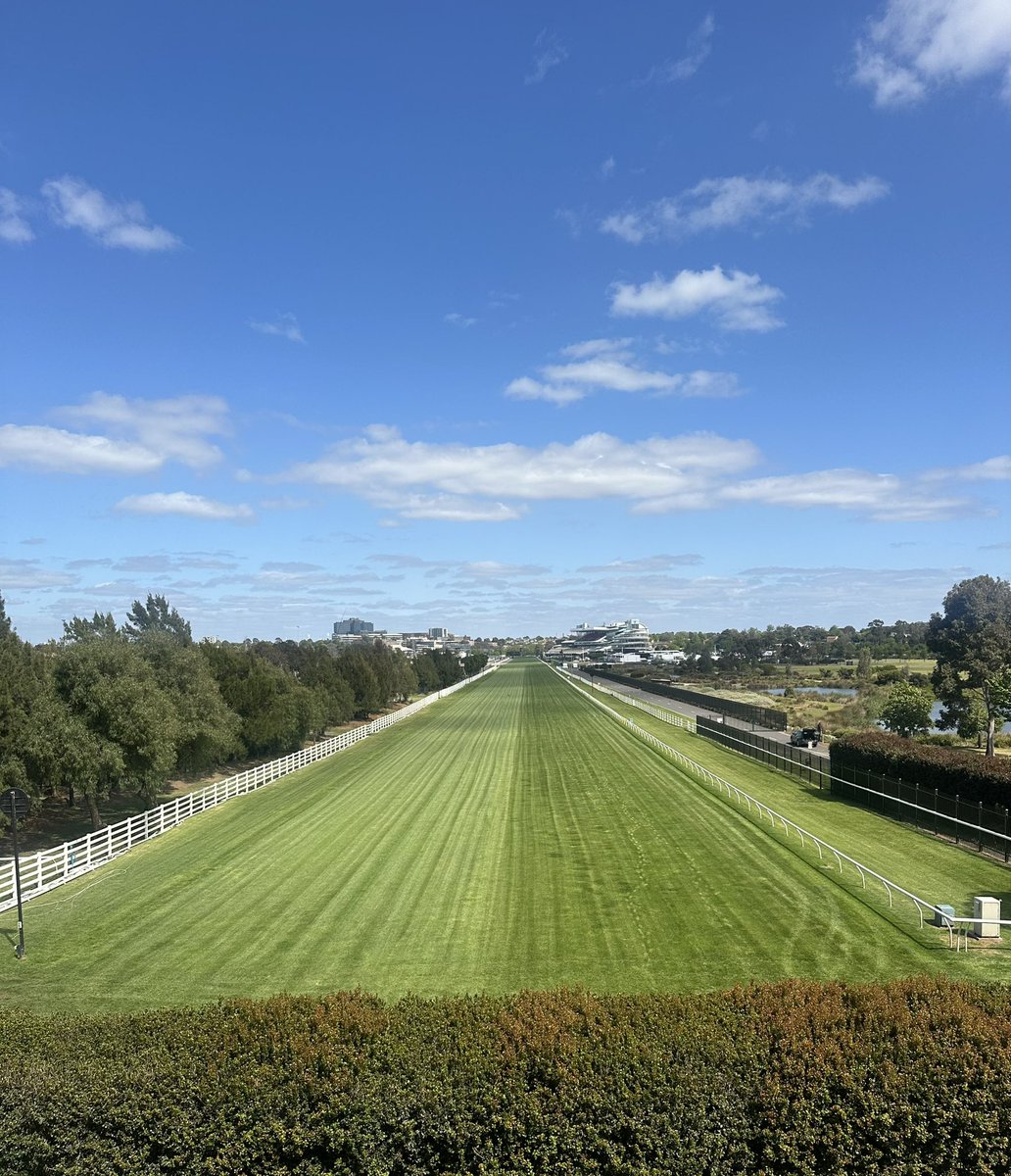 trupo11's tweet image. Building