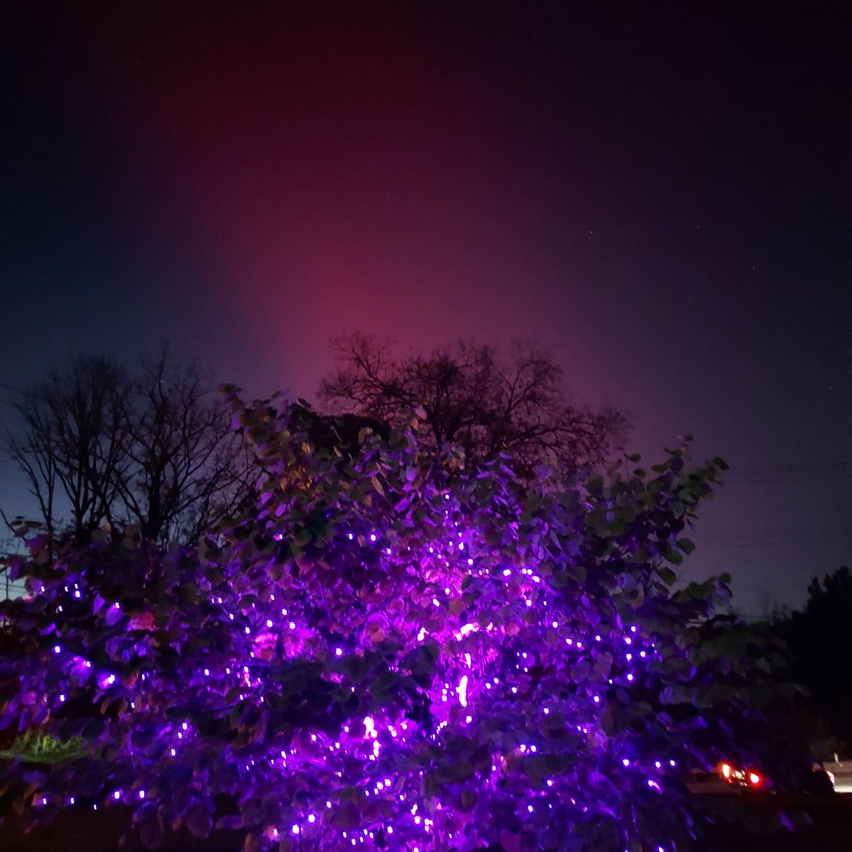 MatthewIllichRealtor® tweet media