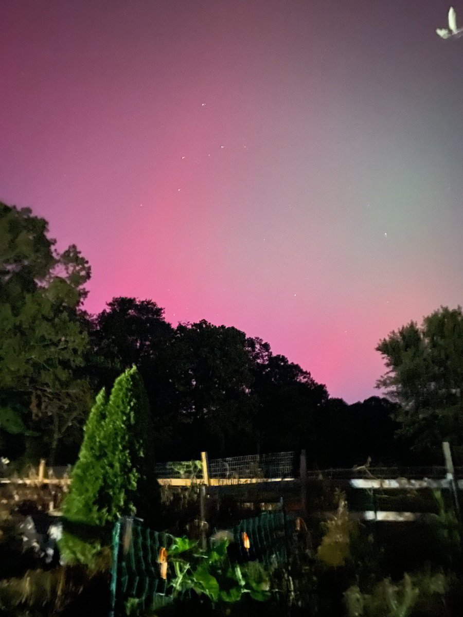 Snowvalleyfarm's tweet image. Wow!  We saw the Northern Lights tonight in Maryland. Bucket list stuff. What a lovely surprise.