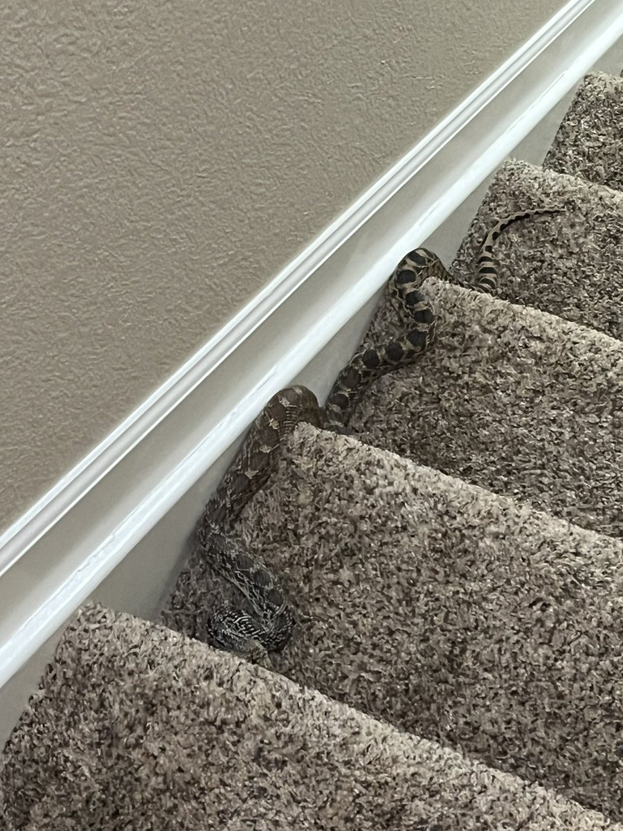 mountain mAndrew tweet media