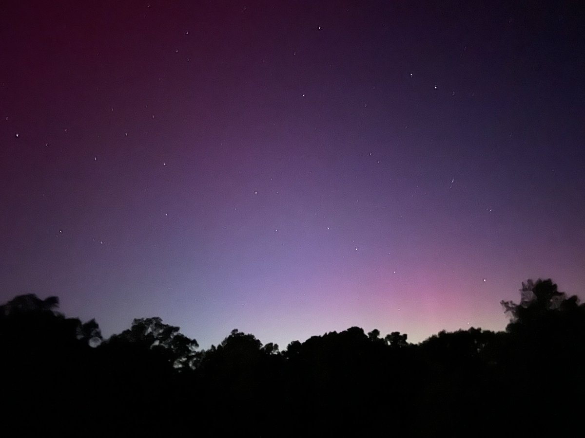 SmokeyCatPress's tweet photo. @capitalweather northern lights in Tappahannock VA! https://t.co/ObggXyp7CH