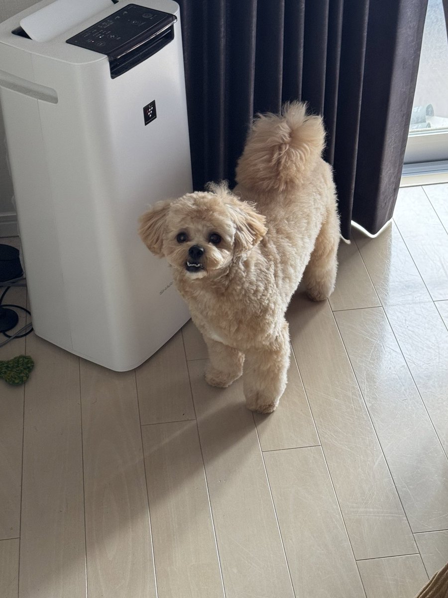 下の歯がﾆｮｷｯ…としているね