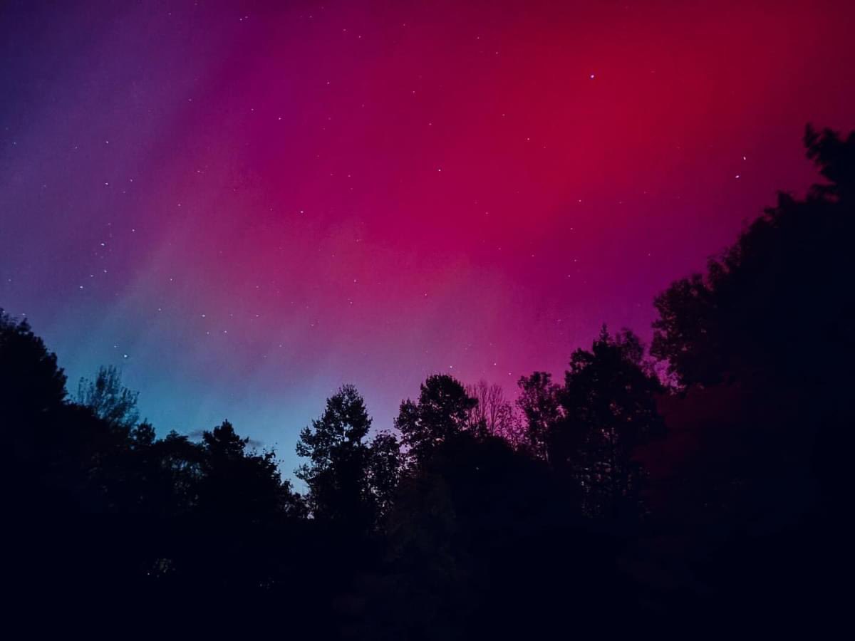 JaineBytes's tweet photo. Violently beautiful https://t.co/84Bqmlqx58