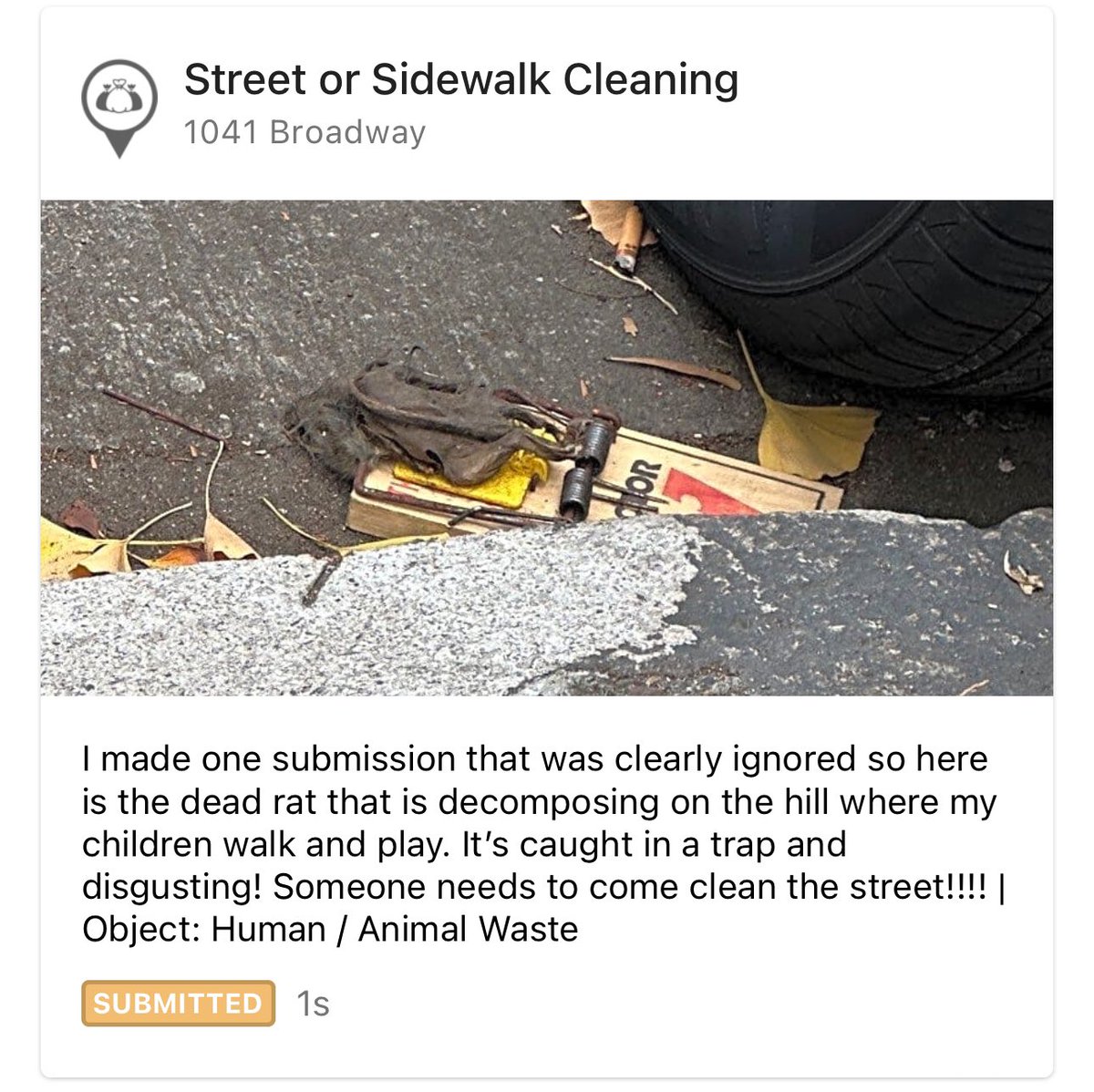 BlurbCaen's tweet photo. @AaronPeskin Worst Supervisor. Rotting vermin on our street and still no street cleaning. Photo attached. Which mayor will clean these streets?! @MarkFarrellSF @DanielLurie @LondonBreed #rottingrat #russianhill #sf311 https://t.co/PV62sftRaA