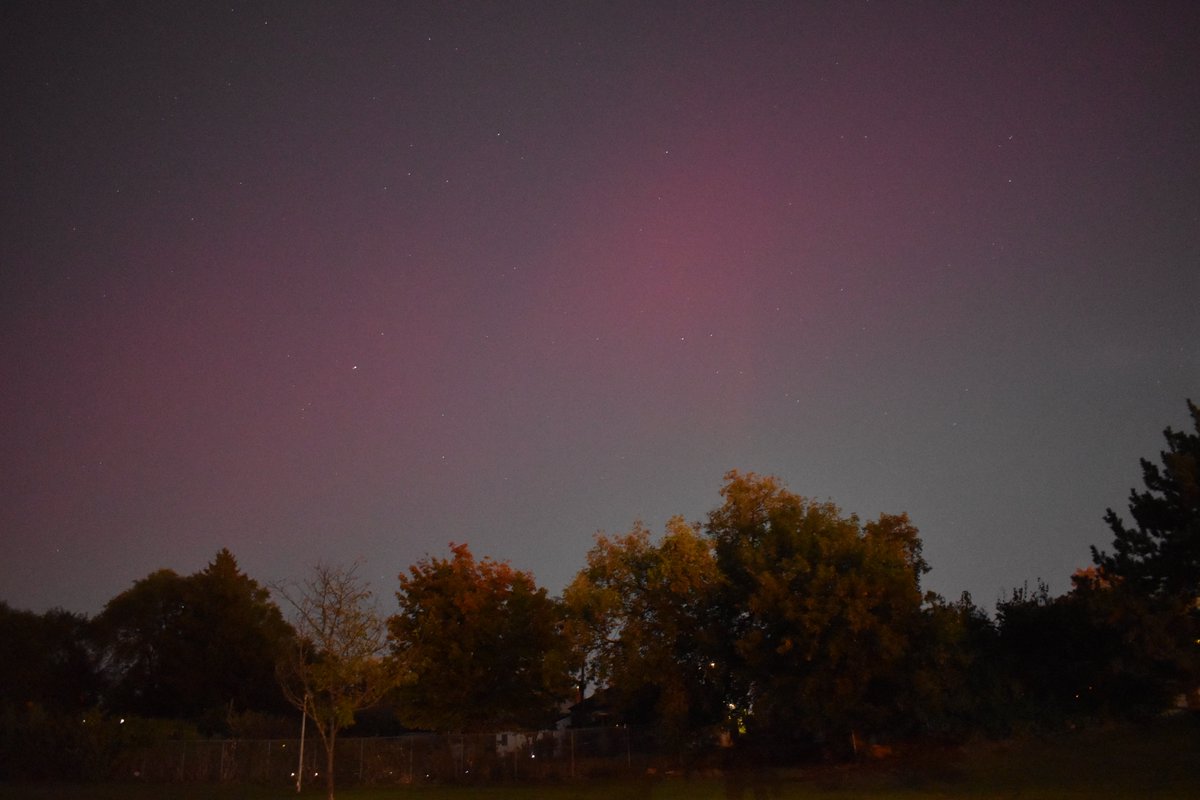 a few minutes ago on the line between #toronto and #scarborough. #aurora #dlws #eyestotheskies #solarstorm