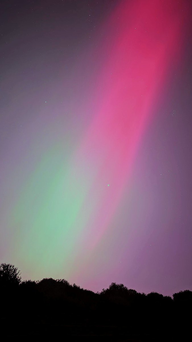 ian ☀️ tweet media