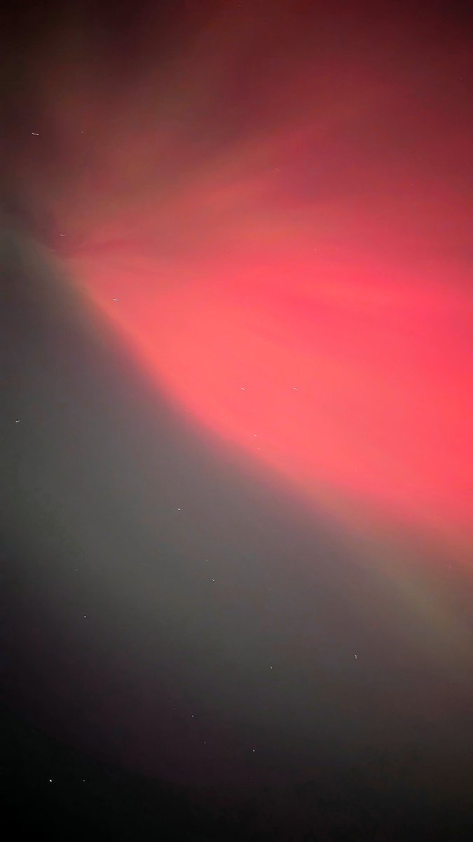 ian ☀️ tweet media