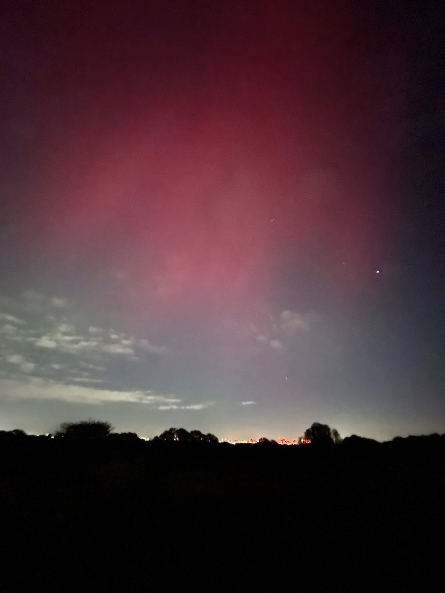 Gisli Jenkins tweet media