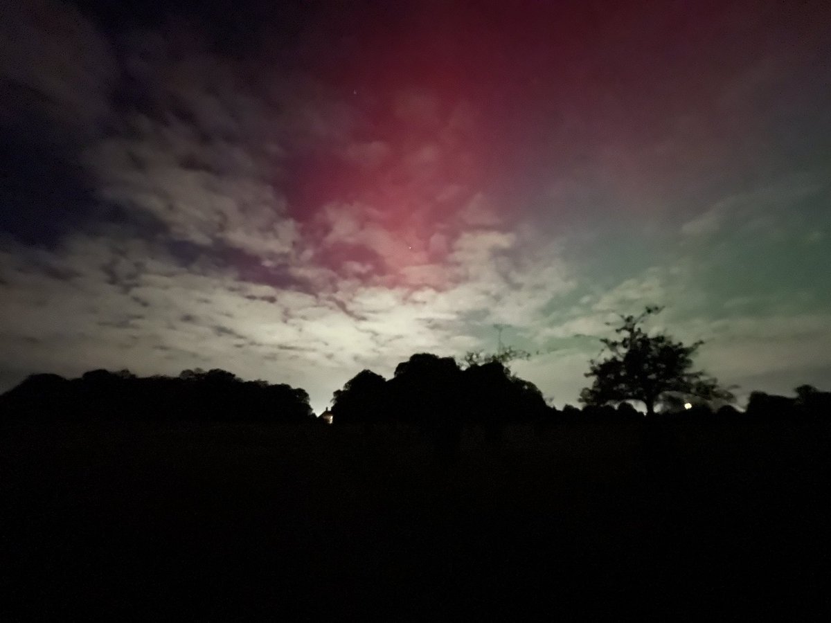 Gisli Jenkins tweet media