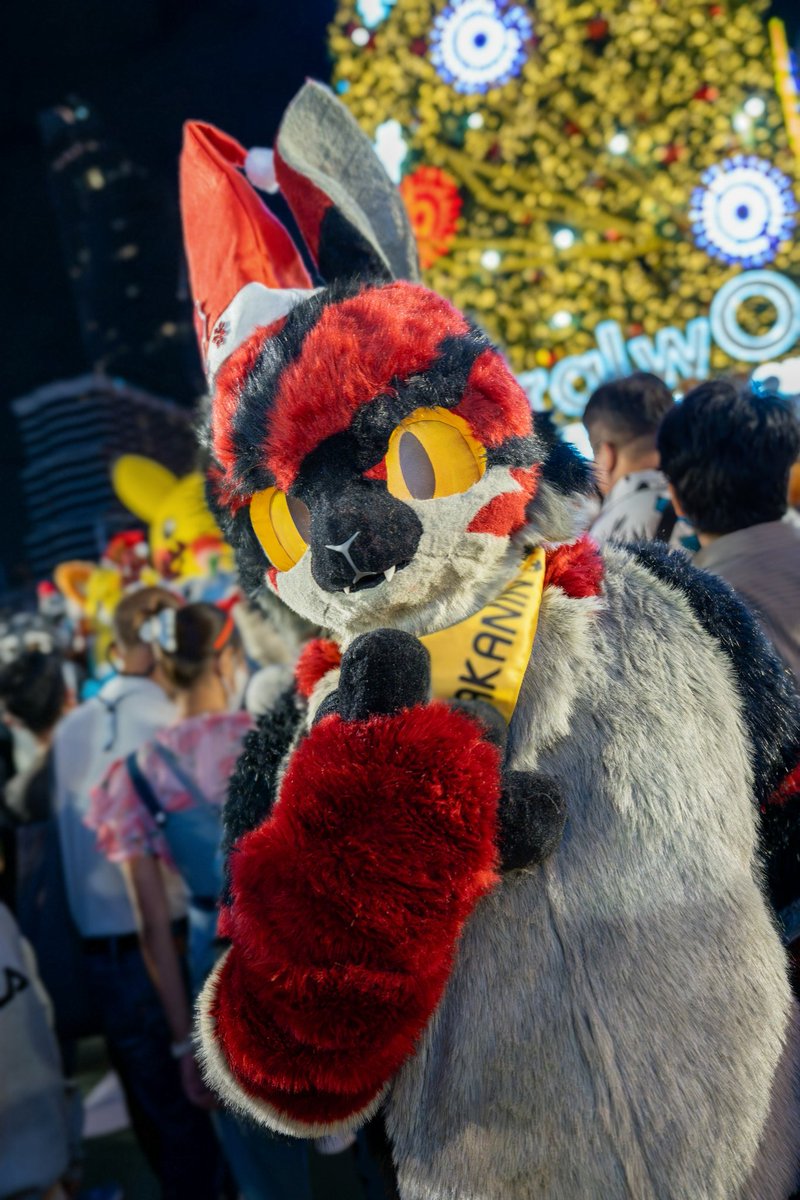 Anyone calling me?
📸 <a href="/callmenoop/">Flamey</a>

#FursuitFriday