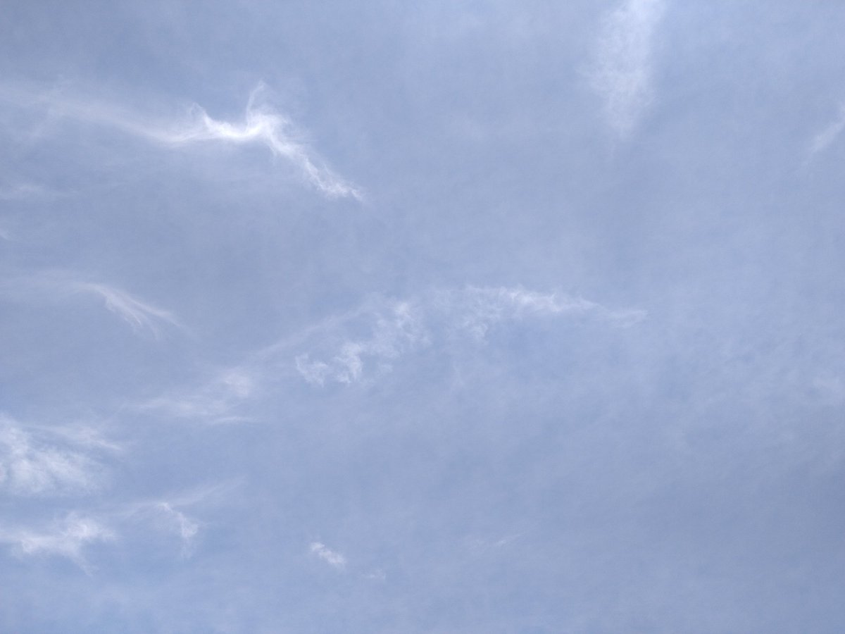 nnir_glasses's tweet photo. ☀️おはようございます
今日は気持ちの良い🌤️秋晴れ〜
行ってきます🎵

#イマソラ
#いまそら
#SCAJ https://t.co/Qg07b4kkuQ